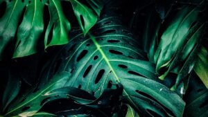 愛は無限に受け取っていいんだよ