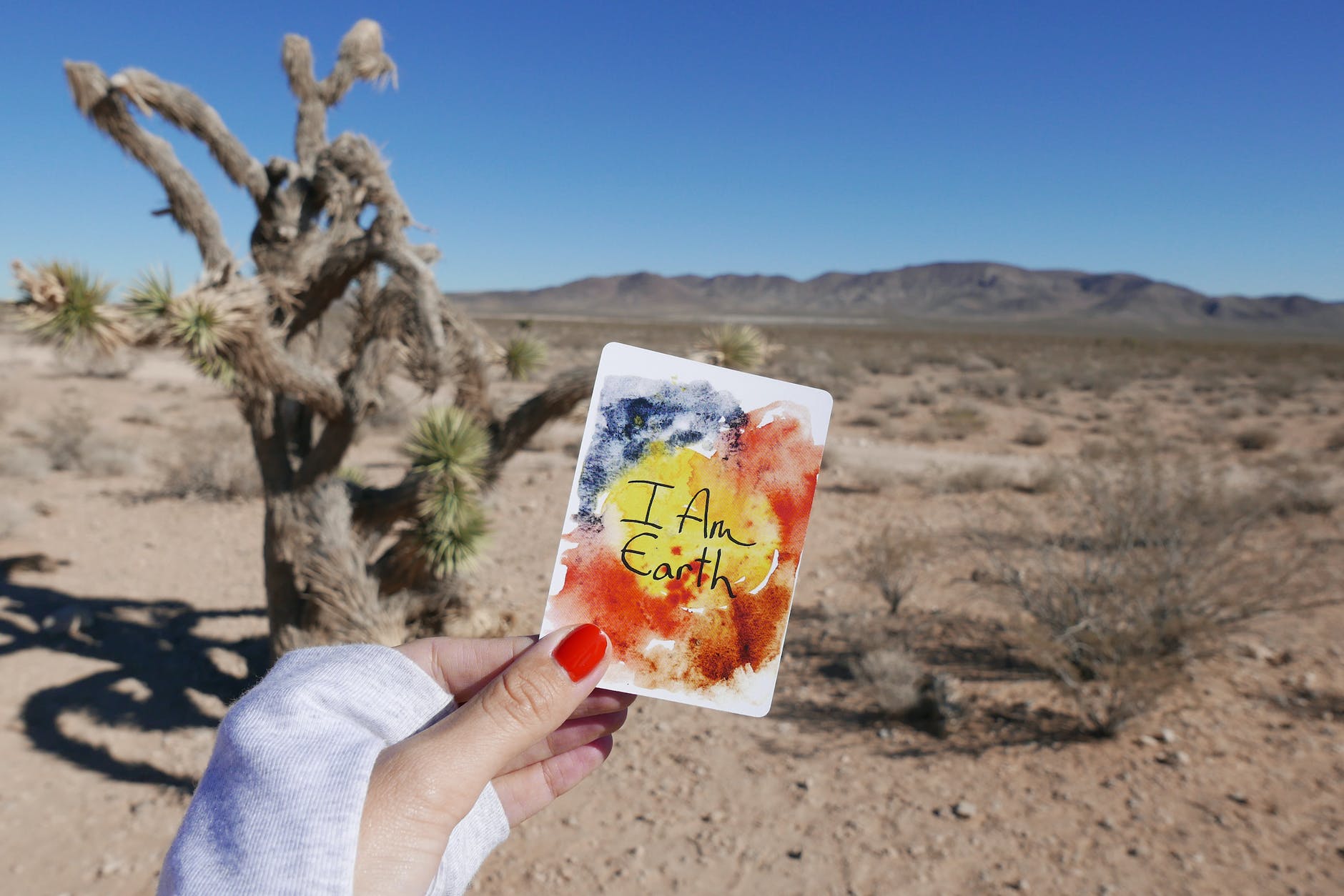 person showing i am earth illustration